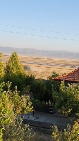 The video captures a serene outdoor scene during daylight hours. In the foreground, lush green trees and foliage dominate, with a glimpse of a quaint structure featuring a conical, tiled roof. The middle ground reveals a vast, flat expanse, possibly agricultural fields or wetlands, stretching towards distant, hazy mountains under a clear blue sky. The overall ambiance is peaceful and rural.