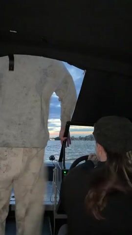 The video shows the view from inside a boat as it moves across a body of water. In the foreground, two people are visible. On the left, a person in a gray sweatshirt and camouflage pants stands, holding onto a lever. On the right, a person wearing a black shirt and a dark cap sits at the helm, steering the boat. The boat appears to be moving at a moderate speed, as indicated by the wake behind it. The background shows a shoreline with trees and a cloudy sky with hints of sunset colors. The lighting suggests it is either early morning or late evening.