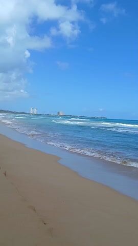 The video showcases a pristine beach landscape, where the calm turquoise sea meets the sandy shore. In the initial shot, the focus is on the merging point of the water and sand, with a glimpse of buildings in the distant horizon under a bright blue sky dotted with sparse clouds. As the camera pans to the left, it reveals a broader view of the shoreline, showcasing more of the tan-colored sand that makes up the beach. The sky above is now filled with fluffy white clouds, contrasting beautifully against the blue expanse. Moving further, the scene transitions to the edge of the beach, where a lush line of green palm trees forms a natural barrier, adding a tropical touch to the scenery. The sand in this section is slightly littered with scattered pieces of seaweed or debris, giving a more authentic and untouched feel to the natural environment. The camera continues its movement, capturing the entire scene in its serene beauty.