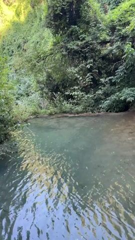 The video shows a tranquil natural scene featuring a clear, shallow body of water in the foreground. The water is surrounded by lush green vegetation, with trees and various plants forming a dense backdrop. In the distance, a cascading waterfall tumbles down moss-covered rocks, creating a beautiful and serene spectacle. The overall atmosphere is peaceful and untouched, highlighting the beauty of the natural environment. There are no people or man-made objects visible in the video.