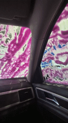 Driver Records Car Wash Experience in Tomilino, Russia