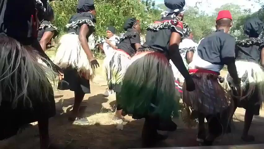 Here is a description of the video:

The video shows a group of people performing a traditional dance in an outdoor setting. There are about ten dancers, mostly women, dressed in matching black shirts and colorful skirts made of straw or grass. One male dancer wears a tall, conical hat. The dancers are moving in a circle, shaking their skirts in rhythm with the music. The music sounds tribal and percussion-based. Other individuals are visible in the background, some sitting and observing the performance. The environment appears to be a grassy area with trees providing shade. The overall impression is of a cultural celebration or traditional event.