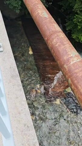 A rusty pipe runs diagonally across a clear, shallow river. The river flows over rocks and has some debris in it. On the left side of the river, there is a concrete structure and a wooded area. On the right side of the river, there is a concrete wall and more trees. The water is moving quickly.