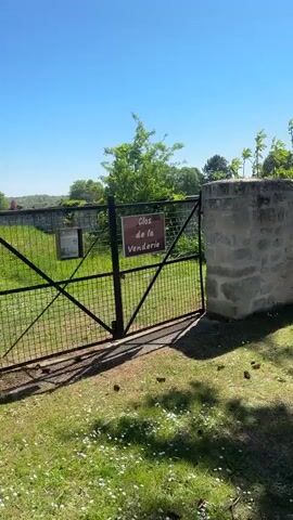 The video captures a serene, sunny day in Saint-Leu-d'Esserent, France, offering views of historic architecture and natural surroundings.

The initial shot features a black metal mesh gate in the foreground, with a sturdy stone pillar on the left. Beyond the gate, a lush green field dotted with yellow flowers stretches towards a distant village. The most prominent feature in the background is a large, ancient-looking church with multiple spires, its stone facade reflecting the bright sunlight under a clear blue sky. Two signs are attached to the gate: the one on the right clearly reads "Clos de la Venderie" in white text on a brown background, while the one on the left appears to be an informational plaque with an image and some text.

The camera then pans to the left, focusing on a long, well-maintained stone wall, composed of irregular light-colored blocks. The distant church remains visible above the wall. The final part of the video reveals two thick, dark-barked tree trunks framing the scene, with green grass and dappled sunlight on the ground. More trees and greenery are visible behind the wall, suggesting a tranquil, natural setting.

The time of day appears to be midday or early afternoon, given the high sun and clear shadows. No people are visible, emphasizing the peaceful and undisturbed nature of the location.