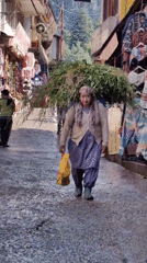 Morning market life and street scenes in Vashisht, India