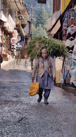 Morning market life and street scenes in Vashisht, India