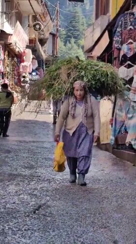 Morning market life and street scenes in Vashisht, India