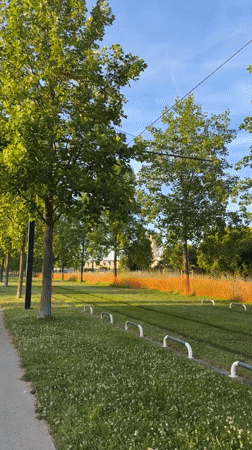 White tram travels tree-lined route in Toulouse
