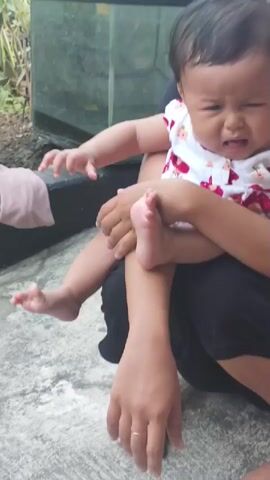 A baby wearing a white shirt with red floral patterns is being held by an adult. The baby's feet are visible, with toes splayed. The adult's hands are holding the baby. The background shows a concrete surface and greenery. A glass container, possibly an aquarium, is also visible in the background.