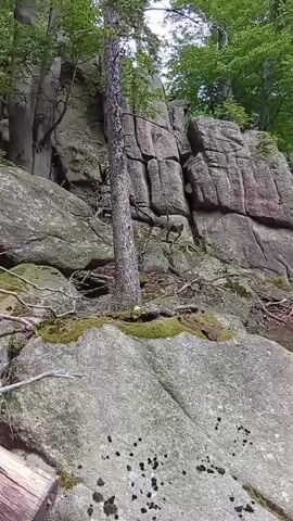 The video pans across a rocky, wooded area. The camera moves from left to right, showing large boulders, trees with green foliage, and a dirt path. Moss grows on some of the rocks. The scene appears to be a natural, outdoor environment.