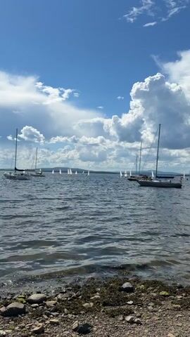 A wide shot of a body of water, possibly a lake or bay, on a sunny day with scattered clouds. The water is choppy. In the foreground, on the right side, are the masts and sails of several sailboats, with one larger sailboat in the immediate foreground. In the middle ground, there are many smaller sailboats visible. The background shows a distant shoreline with hills or mountains under a bright blue sky with large, puffy white clouds. The camera is positioned close to the shore, with rocks and seaweed visible at the bottom of the frame. The video is a still image.