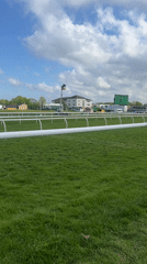 Horse and jockey gallop across sunny racetrack