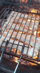 Afternoon backyard barbecue documented in Viadana, Italy