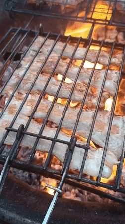 Afternoon backyard barbecue documented in Viadana, Italy