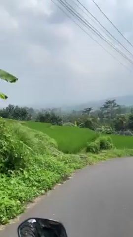 The video shows a first-person perspective of someone riding a motorcycle on a paved road through a rural area. The landscape features lush green rice paddies, trees, and hills in the background, partly obscured by haze. Power lines stretch across the top of the frame. As the motorcycle travels, another motorcycle rider appears ahead, traveling in the same direction on the winding road. The sky is cloudy, but glimpses of sunlight break through occasionally.