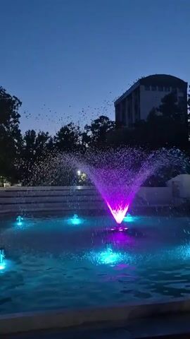 A fountain with purple and blue lights is shown at dusk. Water sprays from the fountain and reflects the lights. Trees and a building are visible in the background. Birds fly in the sky.