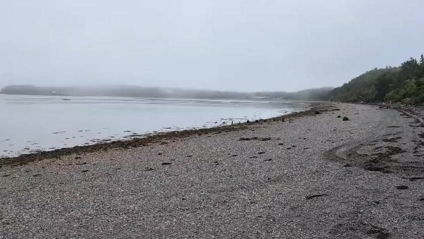A wide shot of a rocky beach on a foggy day. The water is calm and grey, with a thin line of seaweed along the shore. In the distance, a faint outline of trees and buildings can be seen through the mist. The beach itself is covered in small grey and brown pebbles, with some larger rocks scattered about. A rough tire track is visible in the pebbles on the right side of the frame. The overall mood is one of quiet solitude and a slightly somber atmosphere.
