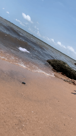Beach day: families swim and play in Ikorodu waters