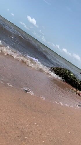 Beach day: families swim and play in Ikorodu waters