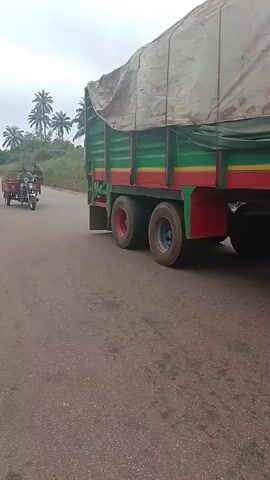The video shows a paved road with a large truck on the right side. The truck is green and red and has a tarp covering its load. A man stands beside the truck. On the left side of the road, a red tricycle motorcycle approaches. Two men are riding the tricycle. The tricycle passes in front of the truck and continues down the road. Palm trees are visible in the background. The video ends with a view of the road surface.