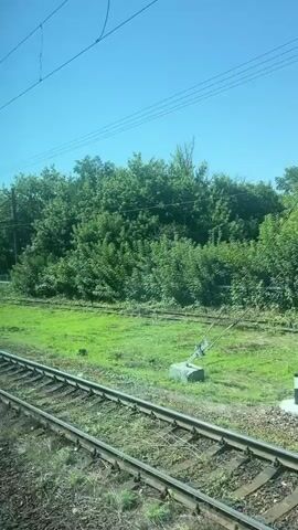 A view from a moving train shows train tracks in the foreground. Beyond the tracks is a grassy area bordered by a dense line of green trees under a clear blue sky. Overhead, electrical wires for the train are visible. There are utility poles along the side of the tracks. The camera appears to be looking out a window.