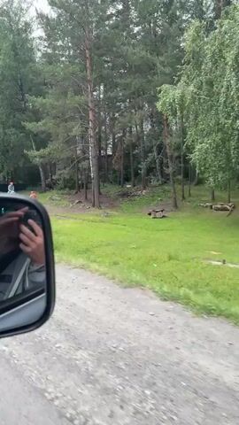 The video shows a journey on a road. In the initial moments, a person is seen riding a horse in a wooded area, accompanied by another person walking. A sign for "PARK-HOTEL GELYION" is visible. The perspective then shifts to inside a vehicle, showing the driver and the road ahead. The scene depicts a highway surrounded by trees and mountains in the distance, with other cars on the road.