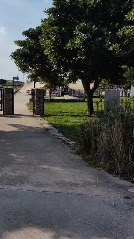 The video shows a paved walkway leading towards an open gate with stone pillars. Beyond the gate is a grassy area with several trees. In the background, there appears to be a seated area with tables and people, possibly a cafe or restaurant, covered by large tents. The lighting suggests it is daytime with a clear sky.