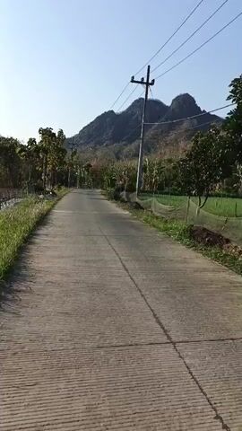 The video shows a paved road leading towards a mountain. There are trees and vegetation on both sides of the road, and a power line with a light fixture stretches across the frame. The sky is clear and blue. The road has a textured surface, suggesting it may be concrete or asphalt with some imprinted pattern. The perspective suggests the video is being recorded from a moving vehicle or by someone walking. There are no people or animals visible. The environment appears to be rural or semi-rural, with evidence of agriculture in the fields on the right side of the road, possibly protected by netting.