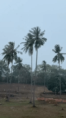 Heavy rain and winds hit Baan Hua Thanon, Thailand