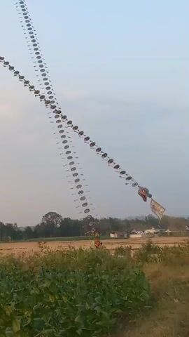 The video opens with a wide shot of a very long kite train flying in a clear sky. The kite train appears to be made up of numerous small, circular kite-like objects strung together in a long line, with a larger kite further down the line. The camera then pans down to show a rural landscape with green fields and some trees. The sun is visible in the sky, indicating it is either sunrise or sunset. The video then transitions to a shot of the sun setting behind a silhouetted treeline, casting a warm glow across the sky. The camera continues to pan across the sky, showing clouds and the sun. The last shot shows the sun setting over a field, with the silhouette of trees in the foreground.