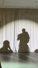 Shadow puppet show depicts embracing couple in Saint Petersburg