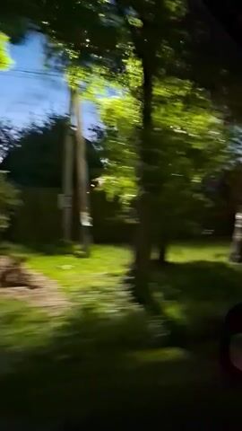 The video, recorded from a moving vehicle, shows a blurry landscape of trees and grass illuminated by artificial lights. The sky is a deep blue, suggesting it is evening or night. Houses and cars are visible in the background, some with lights on. The motion blur indicates a speed of travel, making precise identification of objects difficult.