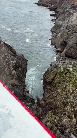 From an elevated vantage point, a vertical video shows the rocky coastline of a body of water, with the horizon visible in the distance. A narrow passage, flanked by steep, jagged rocks, leads from the open sea inward.  Water rushes through the passage, and with a burst, a geyser-like spray of water erupts from the rocky side of the passage, sending a plume of mist high into the air, obscuring the view briefly before dissipating. Part of a white railing with a red stripe is visible in the foreground. The ocean is grey, reflecting an overcast sky.