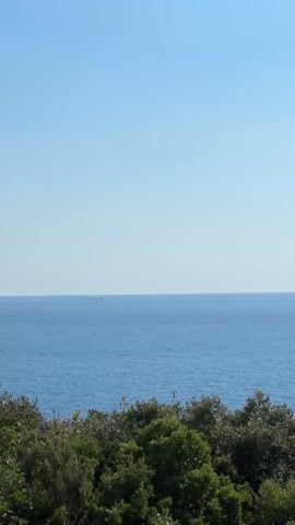 The video shows a vast expanse of blue ocean under a clear sky. A line of what appears to be buoys, or potentially some form of marine equipment or possibly a long line of birds, stretches across the horizon. In the foreground, there's some green shrubbery. The sound of a child is heard briefly.