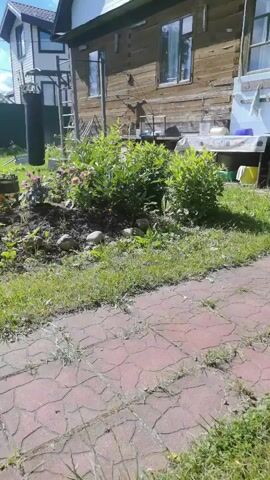 The video pans across a backyard with a flower bed in the center. There is a wooden house in the background and a paved walkway in the foreground. There are also a few rocks in the flower bed and a small tree. The video is taken on a sunny day.