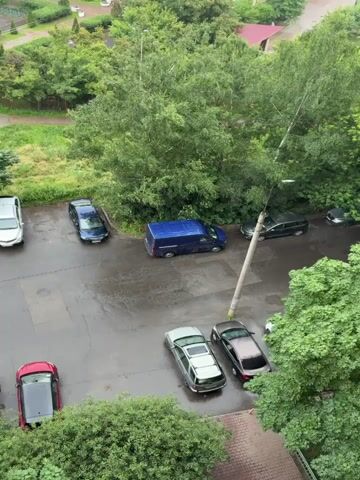 This media file is a video recording taken from a high vantage point, likely a window or balcony, overlooking a parking lot and surrounding greenery. The scene is set in Pushkino, Russia, as indicated by the location context.

The primary subjects are several parked cars. There is a blue van, a silver hatchback, a dark sedan, a red car with a black roof, a dark SUV, and a few other vehicles partially visible. The parking lot appears to be paved and wet, suggesting it is raining or has recently rained. The ground shows dark, wet patches.

Surrounding the parking lot is lush, green foliage, including numerous trees. Some of the trees are tall and full, while others are smaller bushes. In the background, hints of buildings with reddish roofs can be seen through the trees, indicating a residential area. A single lamppost stands in the middle of the parking lot.

The activity taking place is passive; the cars are stationary, and no people are actively engaged in any visible actions within the frame. The atmosphere is tranquil, with the primary element of dynamism being the weather.

Notable details include the overcast sky, implied by the diffused light and the wet pavement. The rain itself is not directly visible but its presence is strongly suggested by the wet surfaces. The time of day appears to be daytime, given the general illumination. There is no visible text in the media file. The overall impression is one of a quiet, damp day in a suburban or semi-urban environment.