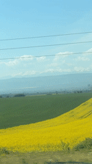 Spring agricultural landscape captured from vehicle in Yana, Bulgaria