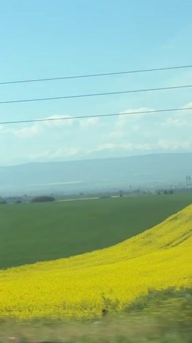 Spring agricultural landscape captured from vehicle in Yana, Bulgaria