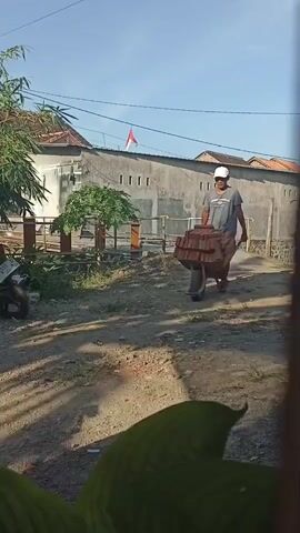 A man wearing a blue t-shirt and a white cap pushes a wheelbarrow loaded with bricks down a dirt path. The sun is shining, casting shadows on the ground. There is a house in the background with a red and white flag on the roof. Green plants are visible in the foreground and to the left of the frame. A motorcycle is parked to the left of the path. The scene appears to be in a rural or suburban area.