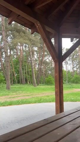 From a covered picnic table, the video pans across a peaceful park landscape. The picnic table is made of wooden planks, and the structure above is also wood, providing shade. The park features tall, slender trees with green foliage, interspersed with patches of open grassy areas dotted with dandelions. A gray brick path runs along the foreground of the scene. There is a voice speaking off camera.