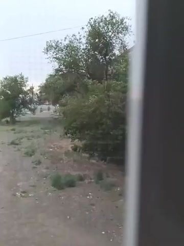 A short video captures a static outdoor scene through what appears to be a window with a screen, indicated by faint gridlines. The foreground is dominated by a greyish-brown dirt path or ground, scattered with small pebbles and sparse, dry vegetation. To the left, a path or road is visible with some distant trees and what looks like a building or structures in the background. The majority of the scene is filled with a dense cluster of green trees and bushes. The lighting suggests it is either early morning or late evening, with a muted sky. The right side of the video is obscured by a dark, vertical object, likely a window frame or part of the indoor structure. There are no discernible people or actions within the video frame.