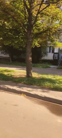 Sunny urban streets and park scenes on a clear morning