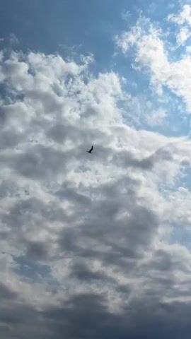 The video shows a wide shot of a body of water, likely a sea or a large lake, with a shoreline in the background. The sky is filled with a mix of clouds and clear blue patches, with the sun partially visible through the clouds. A bird is seen soaring in the sky. The shoreline features some buildings and trees. The water is calm, with gentle ripples on its surface. The overall atmosphere is peaceful and serene.