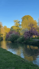 Tranquil river scene documented in Munich park Friday afternoon