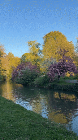 Tranquil river scene documented in Munich park Friday afternoon