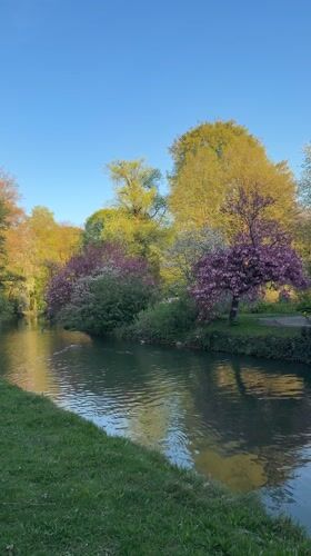 Tranquil river scene documented in Munich park Friday afternoon