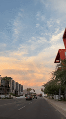 Phoenix street at sunset, palm trees and a painted sky