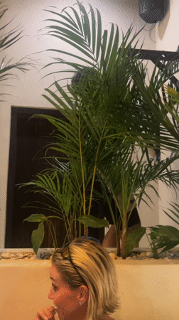 Woman filmed inside restaurant or club in Pererenan, Indonesia