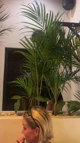 Here's a detailed description of the video:

Setting:
The video is shot indoors, likely in a restaurant or club, based on the decor and ambient sounds.

People:
The primary focus is on a woman with short, blonde hair. She is wearing sunglasses pushed up on her head. The background shows a person briefly walking behind a planter and out of sight.

Objects:
Several tall, green palm-like plants fill a planter. White decorative rocks surround the base of the plants. Above the planter, a section of the white wall displays part of a logo or sign, possibly for the establishment. A black speaker is mounted high on the wall.

Actions:
The woman seems to be sitting and talking, possibly eating something, as she gestures near her mouth. The other person in the background is walking briefly visible behind the plants.

Interactions:
There is likely a conversation taking place, although only the side profile of the woman is visible. Sounds suggest shouting or chanting is present.

Environment:
The environment feels lively, with background noise indicating other people are present. The interior design includes simple white walls and some dark-colored accents.