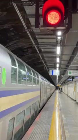The video shows a train station platform, with a train stopped alongside. The train is silver with a blue stripe and a green cloverleaf logo. An overhead red traffic light indicates that the train is not clear to proceed. The platform is tiled and has a yellow safety line. Fluorescent lights illuminate the scene. There are a few people waiting on the platform in the distance. The station has a vaulted ceiling that appears to be made of stone.